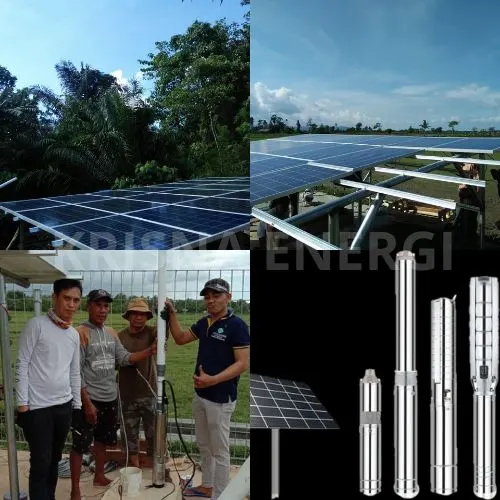 Pompa Submersible AC/DC SP 70: Solusi Irigasi Perkebunan Tanpa PLN