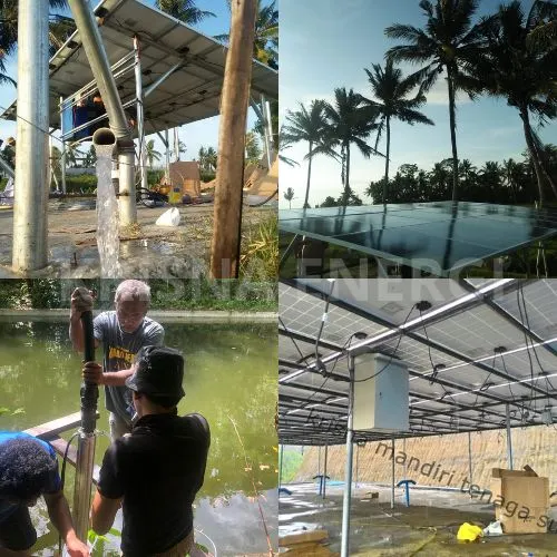 Pompa LORENTZ PS1800: Solusi Irigasi Tenaga Surya untuk Pulau Tanpa Listrik PLN